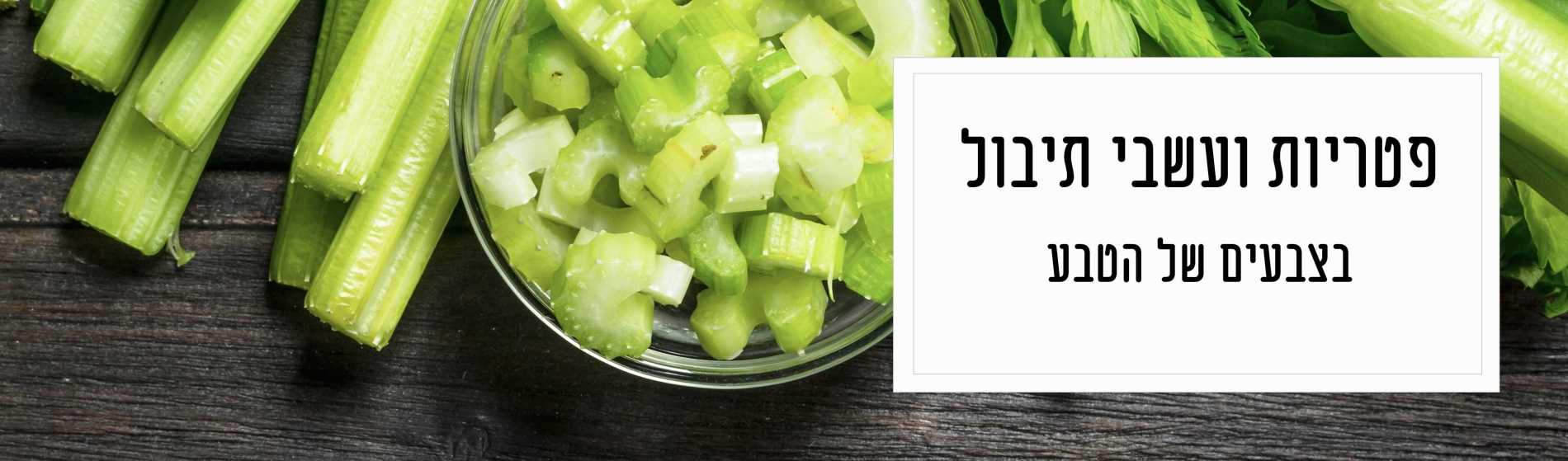 ירק פטריות ועשבי תיבול