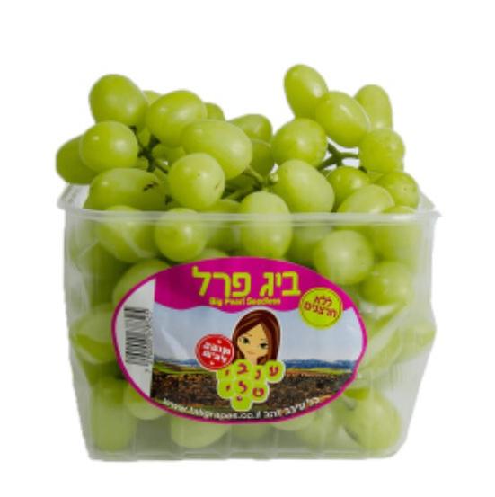  ענבים ירוקים 